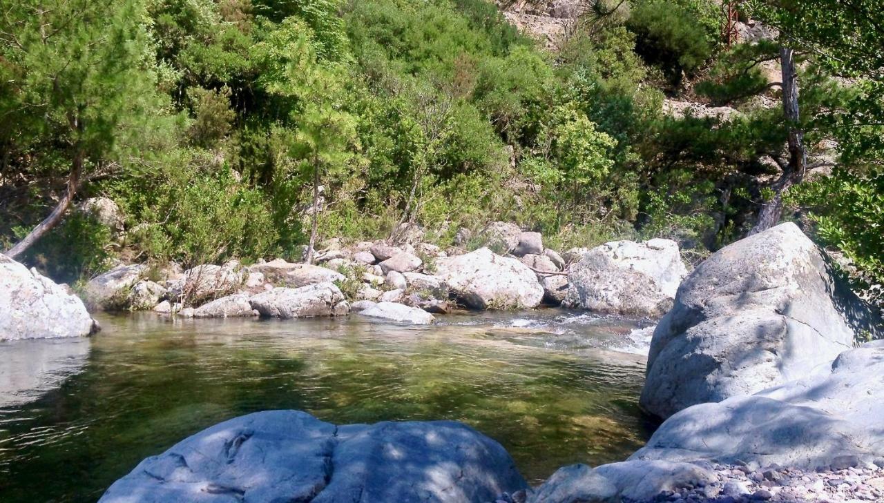 Pietranera Studio Proche De La Mer A 2Km De Bastia Ville-di-Pietrabugno 외부 사진
